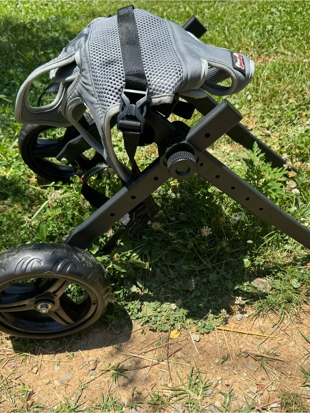 Medium Dog Wheelchair Harness Gray Back Legs